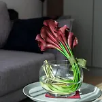 Apartman Garbary By Renters *