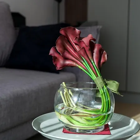 Διαμέρισμα Garbary By Renters *