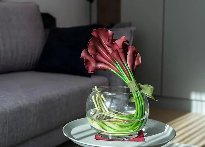 Apartman Garbary By Renters *